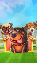 The Dog House